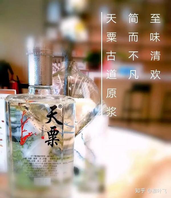 南阳的美女们不会喝白酒?酒说:瞎扯!