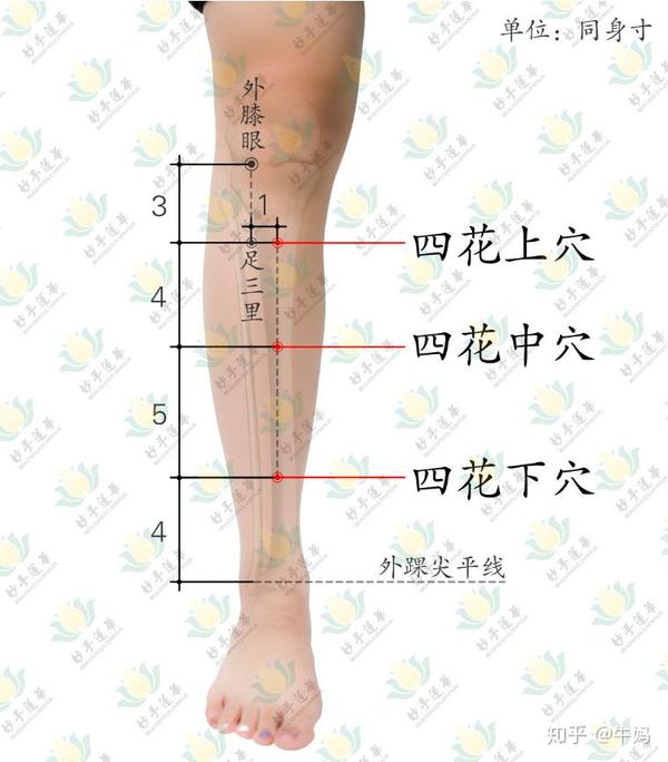 专门应对流感的董氏特效穴穴方大人孩子都可用