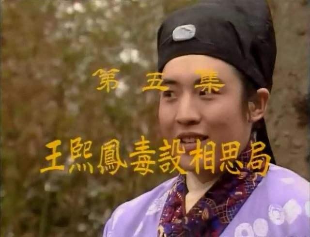 如何看贾瑞对王熙凤起色心被王熙凤弄死