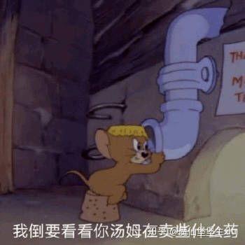 你手机里最搞笑的表情包有哪些(可以关闭水印吗)?非常