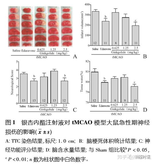 银杏内酯注射液对大鼠急性期脑缺血再灌注损伤的保护作用