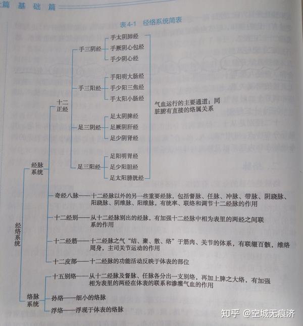 人体经络系统简表