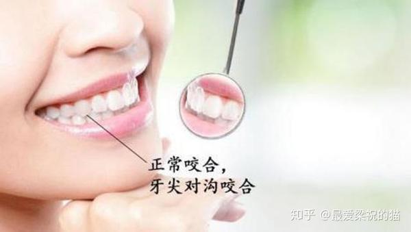 正常的咬合关系