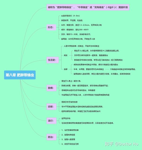 医学寄生虫学第五版 思维导图