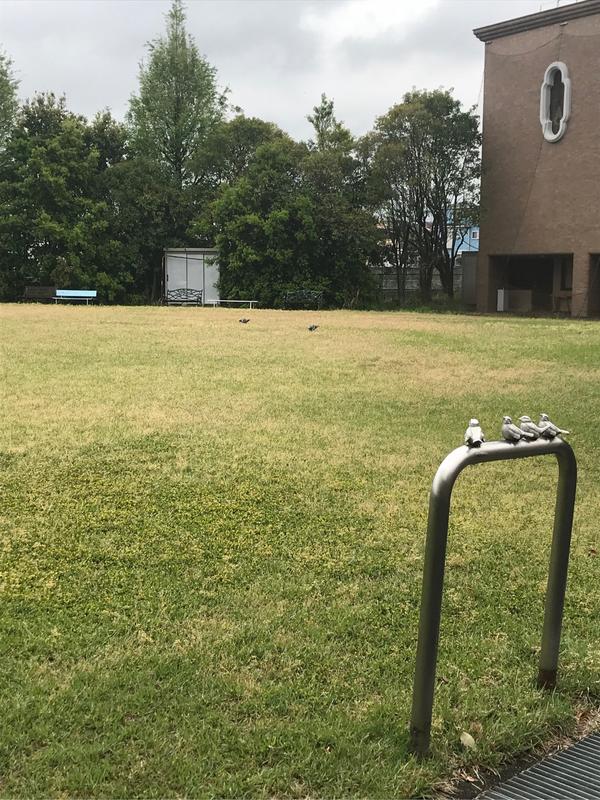 在大阪观光大学就读是怎样的体验?