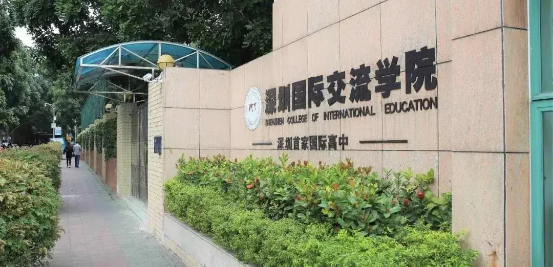 深圳国际学校划分