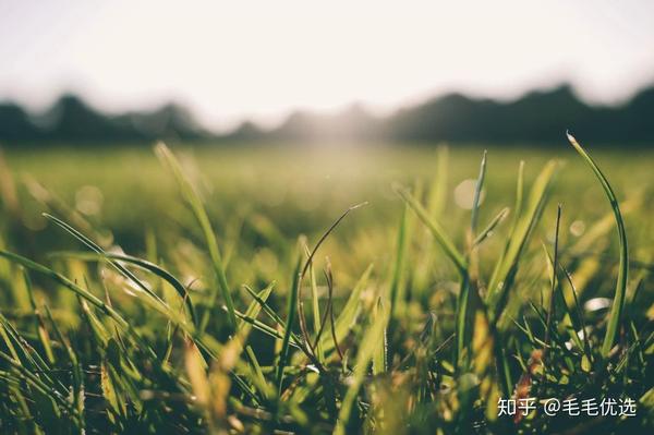 风雨过后是阳光!