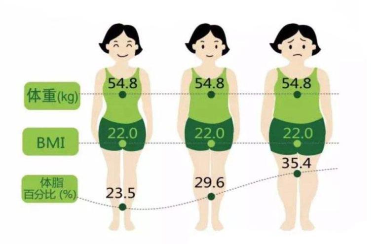 减脂不等于减重,关于体脂率你了解多少?
