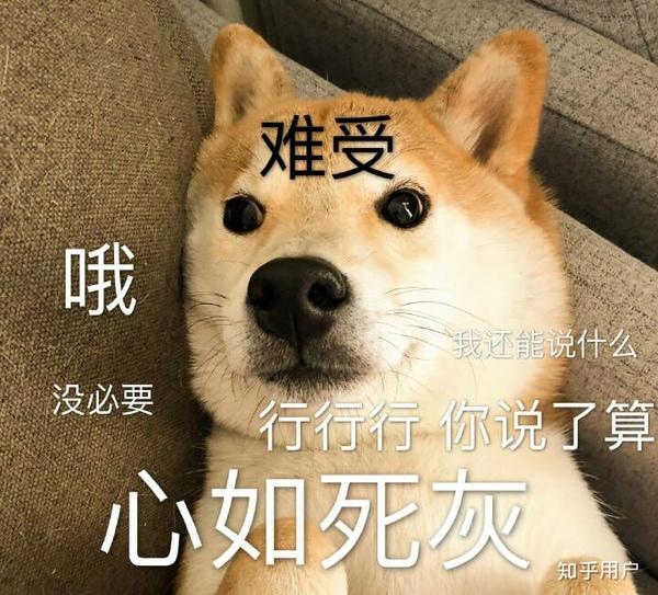 气死我了!