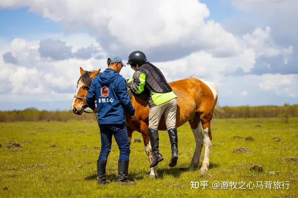 骣骑教学开路先锋带领骑术班学员进行场地内练习帮助学员调整鞍具