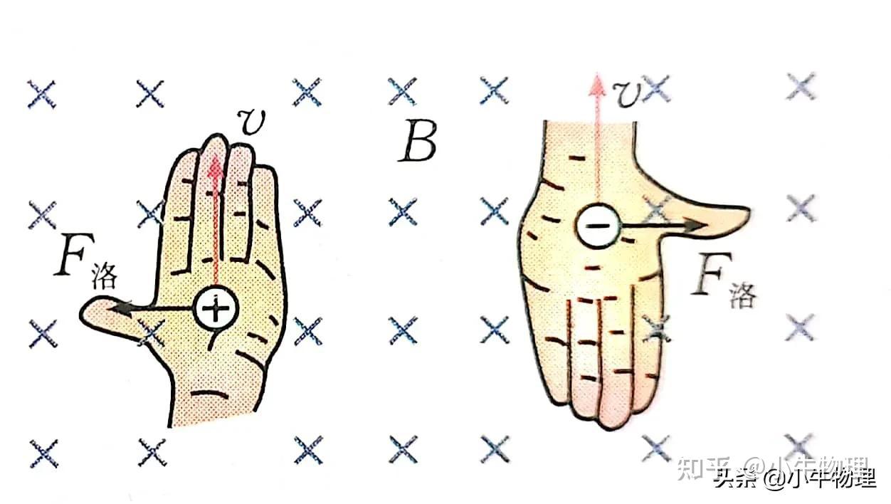 运动电荷在磁场中所受洛伦兹力的方向可以用左手定则判定:伸开左手,使