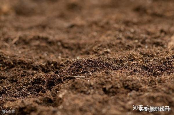 土壤发白,发黄或者是土表有一层白色的白粉状物质的土壤,多为碱性