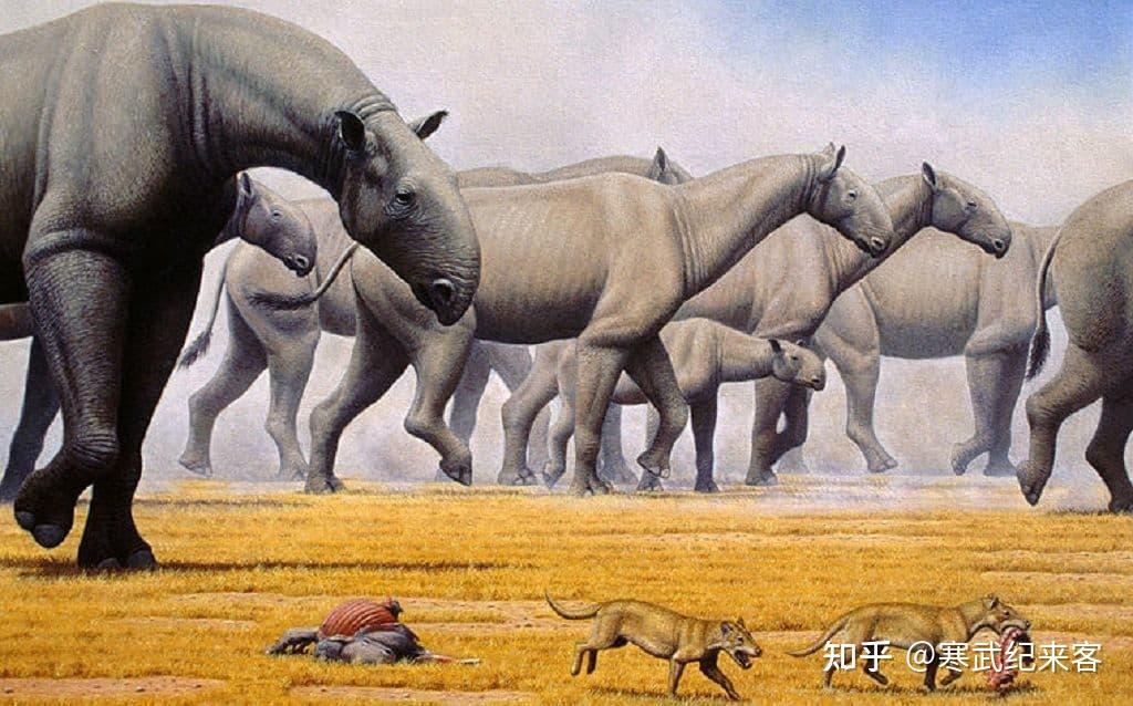 发现了其属于已灭绝的大型生物巨犀中的一个新物种临夏