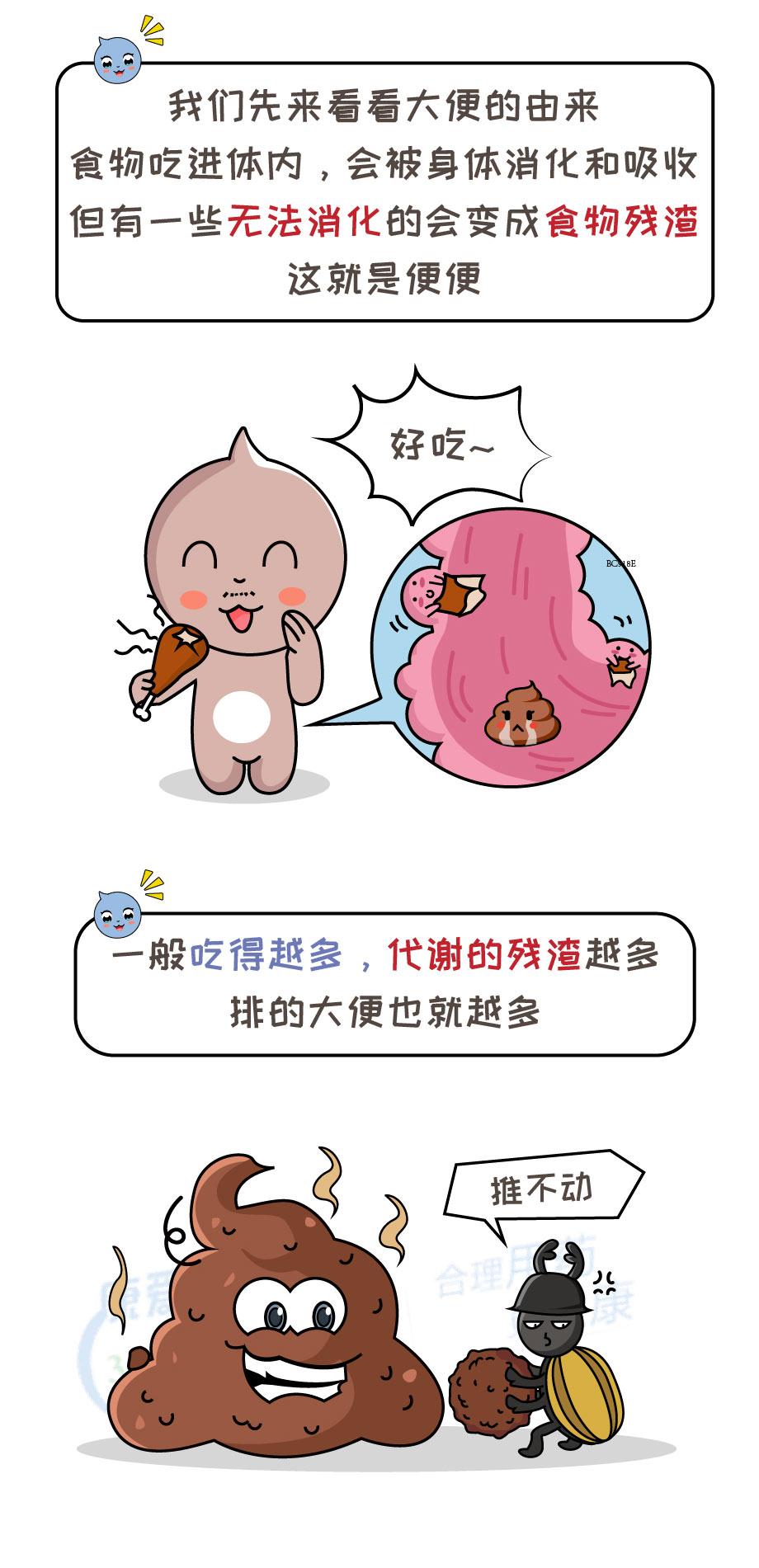 成年人每天排便才算健康?