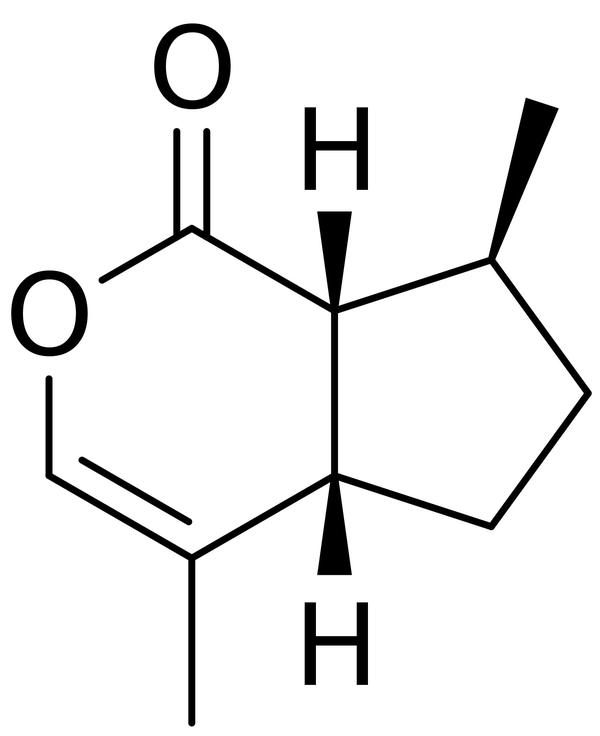 求问哪位知道猫薄荷也就是荆芥主要成分化学结构式?