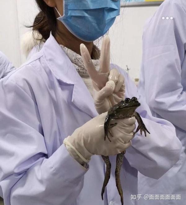 学医的女生有多可怕