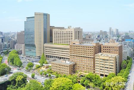 东京医科齿科大学sgu项目中唯一一所纯医学类大学