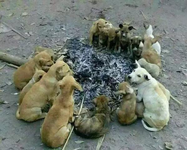 冬天下乡,冷成狗.