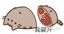 谁有一个小猫