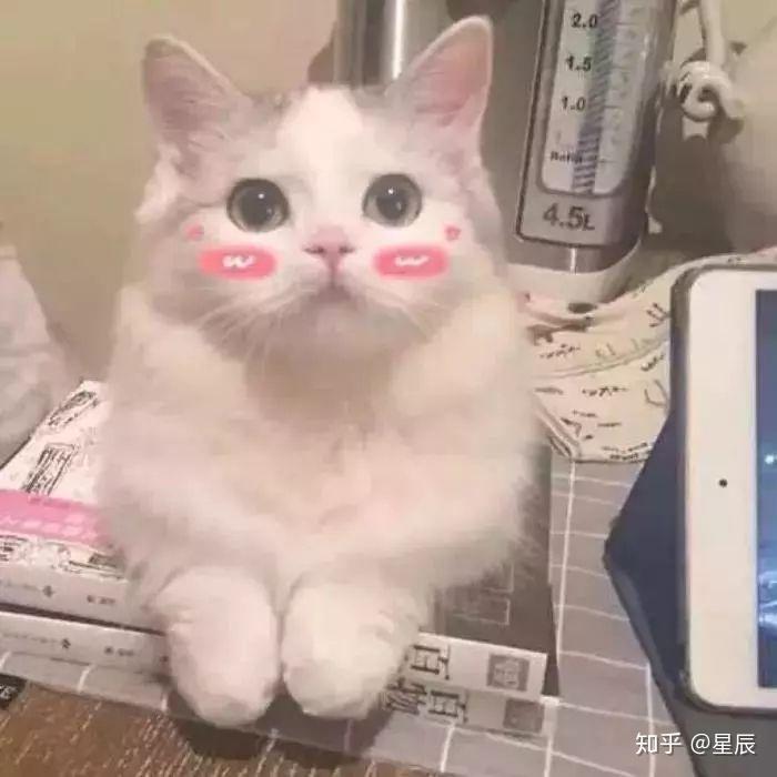 图片是不是不聊天猫咪发表的女生喜欢情?时候包大全贱表情男生老师图片