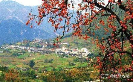 地址:巩义市新中镇杨树沟村