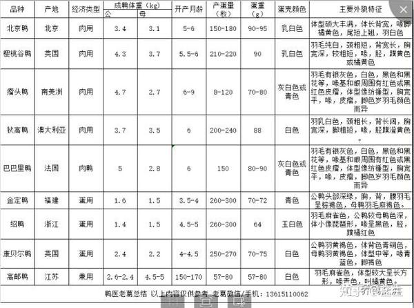 即使是在南京也有不能随便吃的鸭