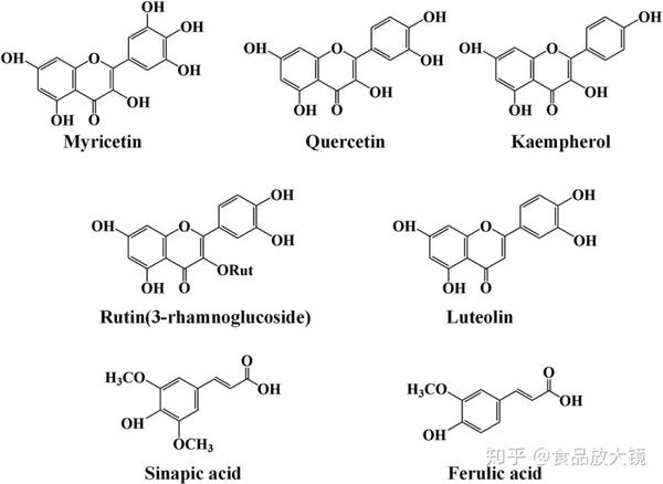 critrevfoodsci多酚潜在的抗衰老作用