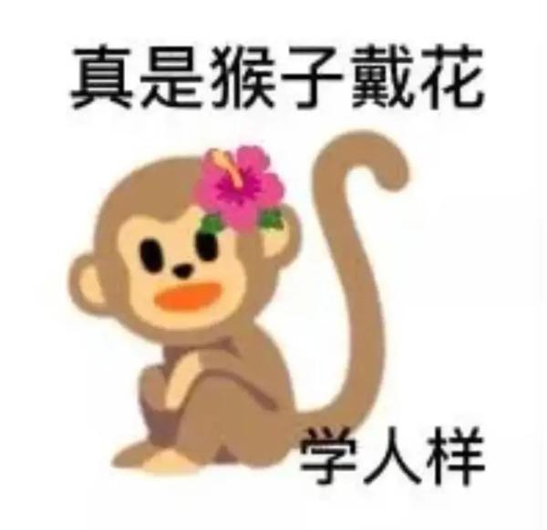 19.猴子戴花——学人样