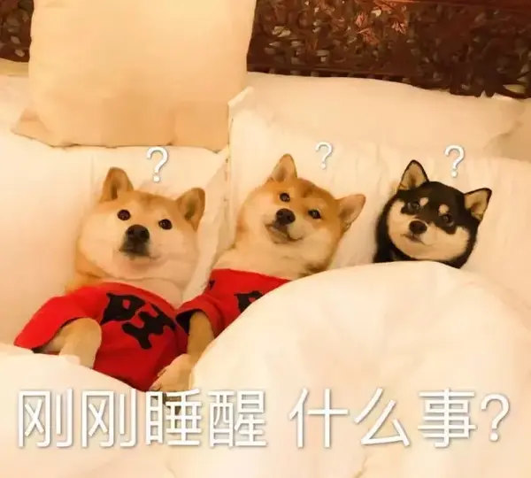 刚刚睡醒,什么事?