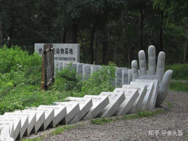 里边还有世界灭绝动物墓区,东方护生壁画等景点值得一看