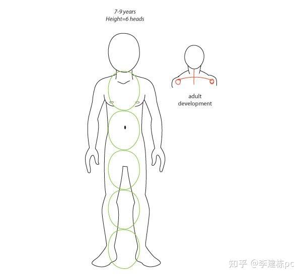 山东经纬技工学校专业知识分享人体绘画教程人体解剖学基础之高级身体