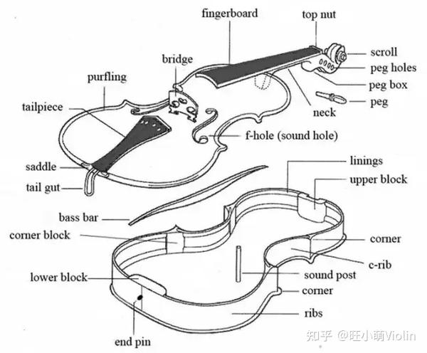 小提琴各个部件的英文简图