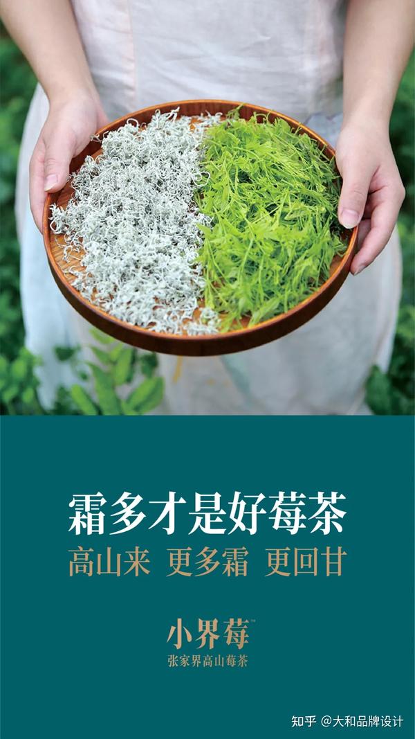 小界莓×大和 | 张家界莓茶全案,霜多才是好莓茶!