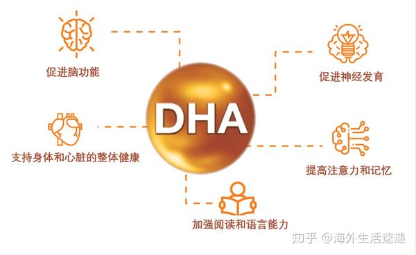 dha藻油 vs dha 鱼油, 谁是更好的宝宝"脑黄金"选择