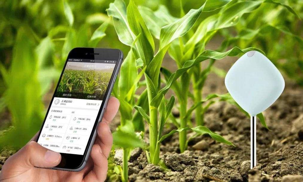 智能农业解决方案:十分钟看懂物联网如何改变传统农业