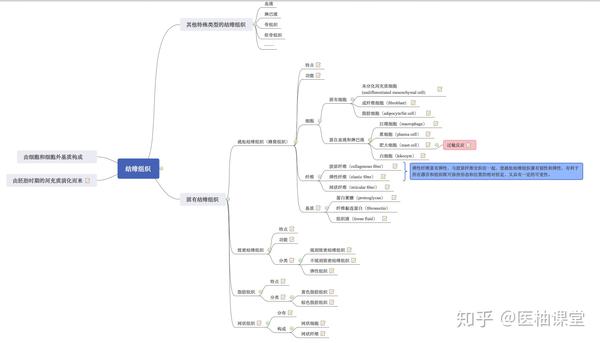 组织学与胚胎学 思维导图分享