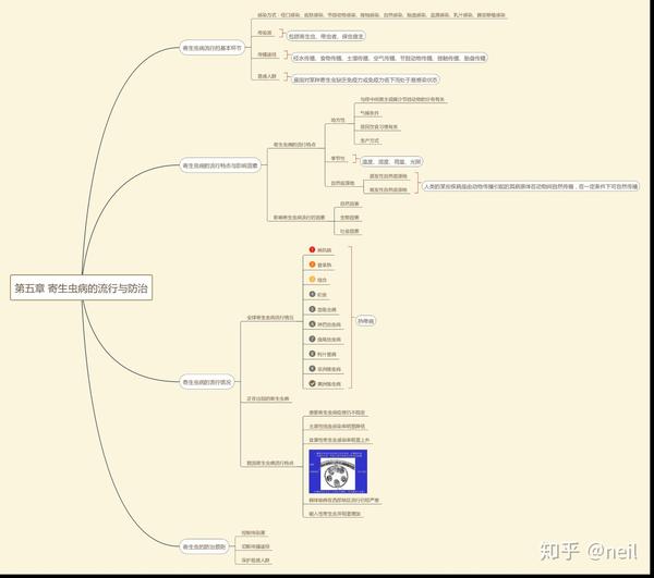 医学寄生虫学第五版 思维导图
