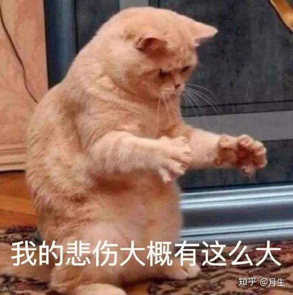 有一个超可爱的女朋友,是种怎样的体验?