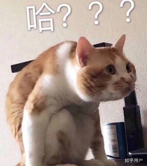 高铁坐过站了,当时的我是怀疑人生的,我回头看着同样懵逼的小伙子