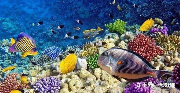 生活在海洋中的微生物?
