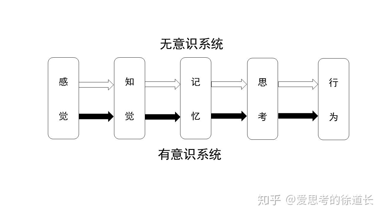 我对认知的思考二感知层认知偏差