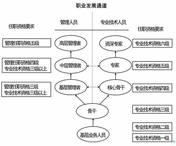 职业发展通道  图源:华为中文网站