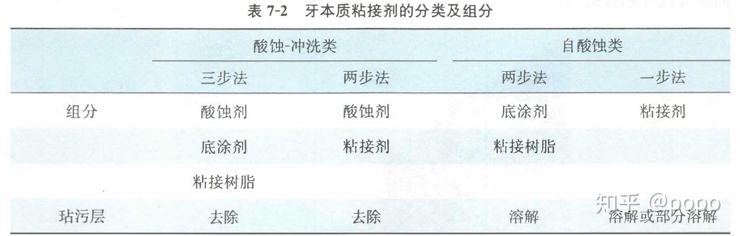 牙本质粘结机制