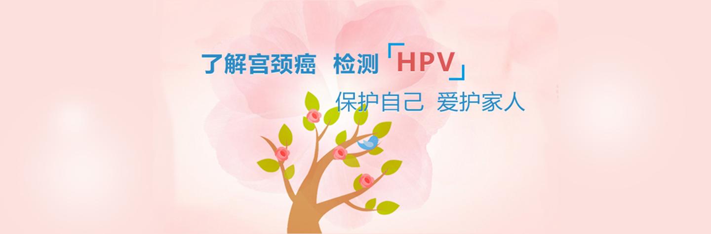 hpv6和hpv11不属于宫颈癌高危型hpv病毒,它们可以引起尖锐湿疣,外阴癌