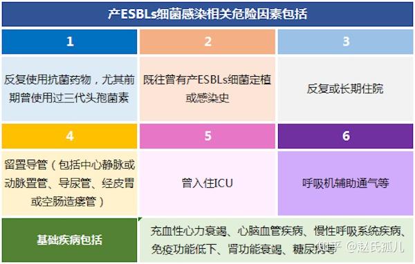 以上数据不难看出,我国的esbls在大肠埃希菌和肺炎克雷伯菌中较为常见