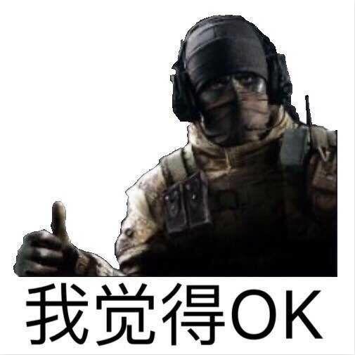 彩虹六号有哪些有趣的表情包