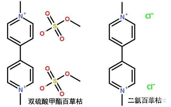 百草枯中毒真的必死无疑吗?