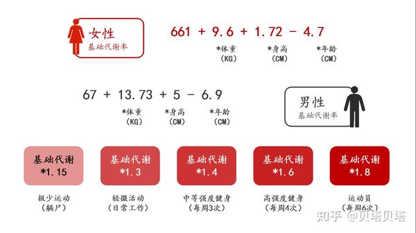 基础代谢到底重不重要一篇文章告诉你关于bmr你需要知道的一切