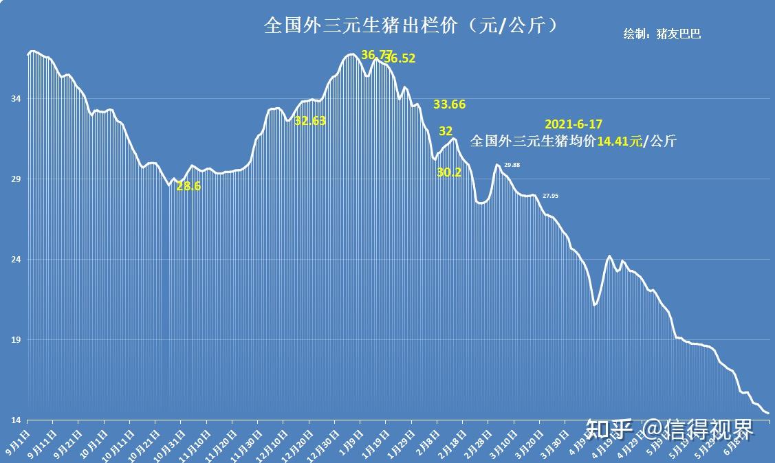 6月17日,猪价"黄了"玉米横盘,小麦涨势集结,粮价,猪价