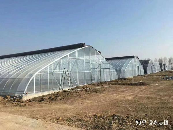 温室大棚常见的栽培模式